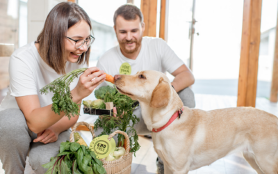 Maßgeschneiderte Ernährung: Ein Plus für deinen Hund